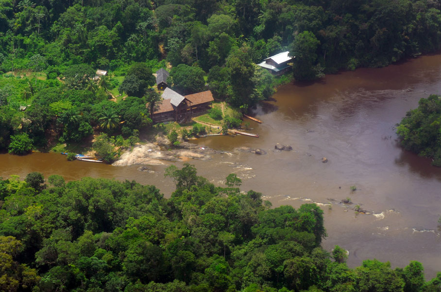 Суринам. Дождевые леса