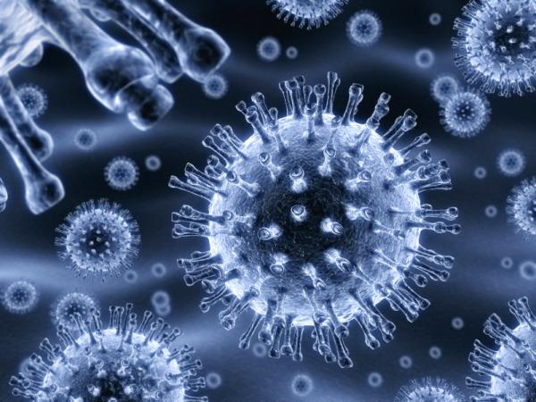 19 интересных фактов о вирусах