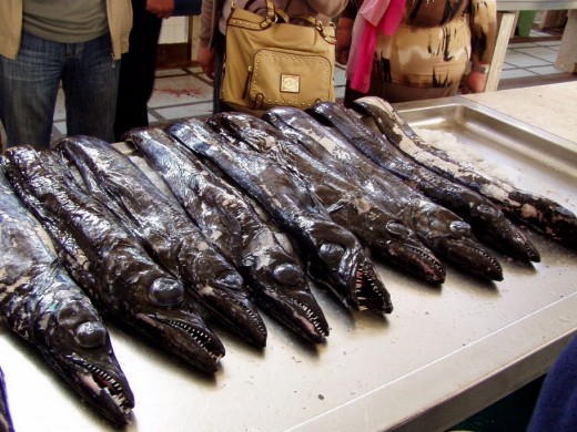 Самую вкусную рыбу можно попробовать в Португалии 7 мая 
