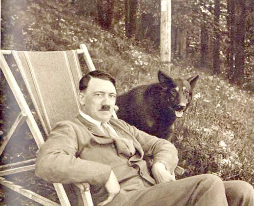 Наука доказала: у Гитлера были говорящие собаки