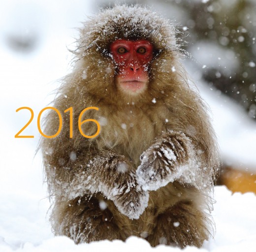Компания Continental представляет календарь на 2016 год