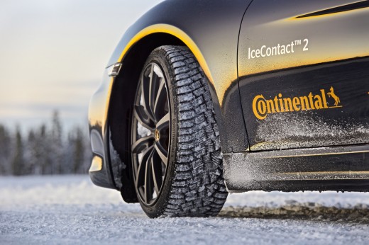 10 фактов о шипах от Continental