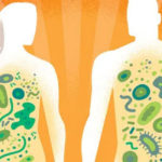 27 июня — Всемирный день микробиома. И сейчас лучшее время, чтобы узнать о нем побольше