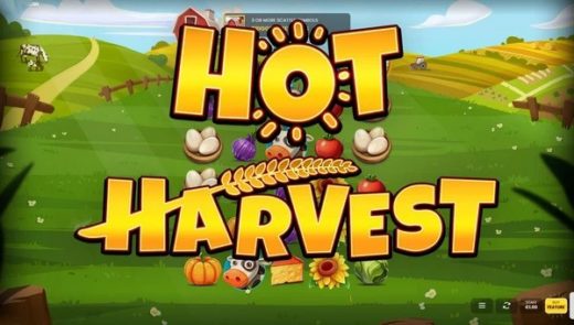 Hot Harvest