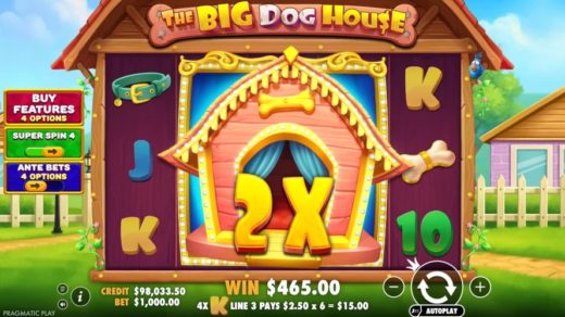 The Big Dog House