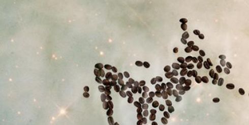 Мечты становятся реалистичными, если рядом ненаглядная кофеварка