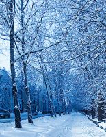 Высота снега в Гомельской области превышает среднее многолетнее значение в разы
