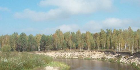 Экс-сенатор рассказал об экологических преступлениях в Московской области
