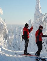 Лыжные каникулы в Финляндии – отдых, который покорит любого