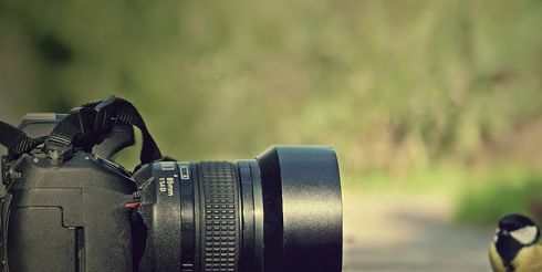 Фотоаппарат для начинающего фотографа