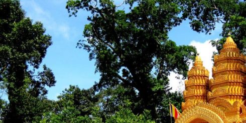 Преимущества туров во Вьетнам