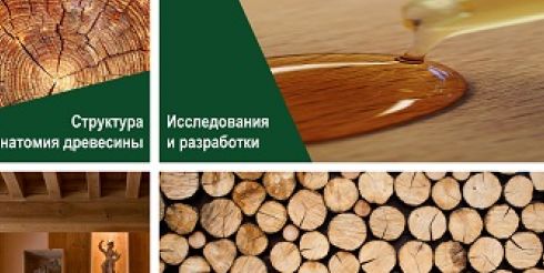 Pinotex раскрывает тайны дерева – профессиональная экспертиза в деревозащите становится доступна российским потребителям
