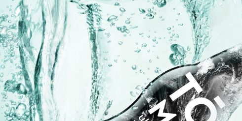 ТОМО — новинка, не имеющая аналогов на российском рынке