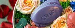 Магия парфюма в новом Camay: Обновленные коллекции и новые восхитительные ароматы