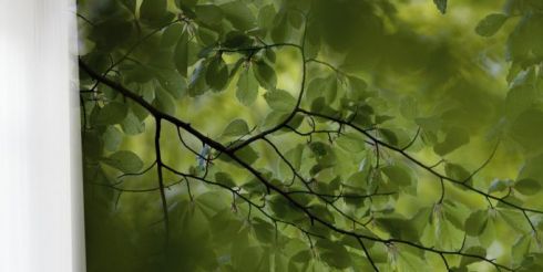 Выбираем фотообои легко и просто