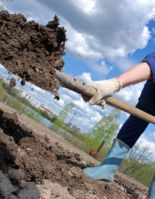 Дачникам на заметку: распродажи садовой техники начались!