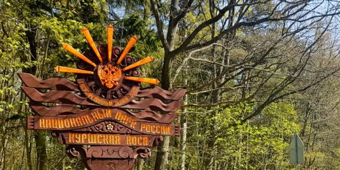 Визитная карточка Калининградской области