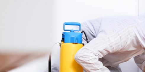 Городской центр Sescentr.Ru — признанный эксперт в области уничтожения клопов