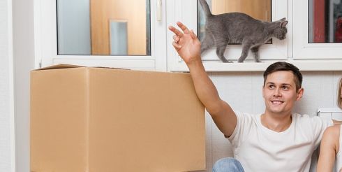 Как найти  хорошую квартиру для покупки?