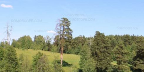 Жизнь за МКАДом: участки в Заокском районе