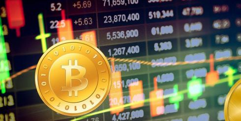 Как выбрать криптовалютную биржу новичку