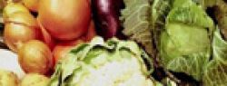Импортные овощи «запретили» на полгода