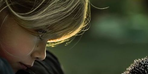 Круговорот доброты в природе