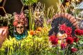 Новые возможности Moscow Flower Show – легендарный фестиваль впервые пройдёт виртуально
