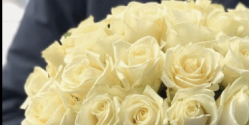 Как выбрать розы, которые будут долго радовать свежестью