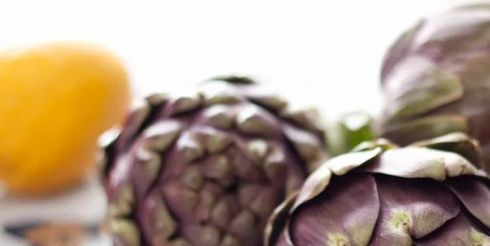 Артишок (Cynara scolymus) – полезные свойства