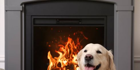 Электрический камин – преимущества и недостатки этого решения