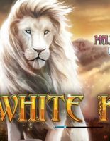 Величие Белого Льва: обзор игрового автомата White Lion