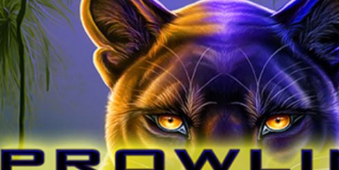 Виртуальные джунгли: опыт игры в слот Prowling Panther