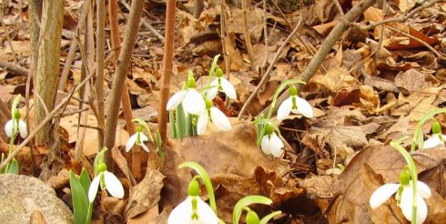 24 марта: это интересно знать
