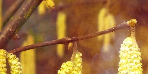 20 апреля: это интересно знать