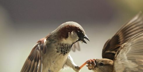 28 апреля: это интересно знать