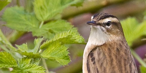 16 июня: это интересно знать