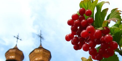11 августа: это интересно знать