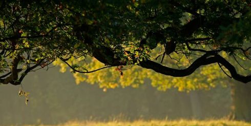 23 октября: это интересно знать