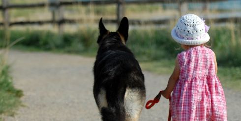 Петербургские власти хотят запретить выгул собак детям