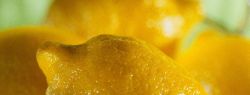 Лимоны для профилактики и лечения простуд и гриппа